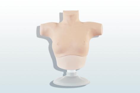 乳腺癌觸診、視診訓(xùn)練模型